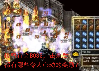 �����л�BOSS����ɱ������Щ�����Ķ��Ľ�����