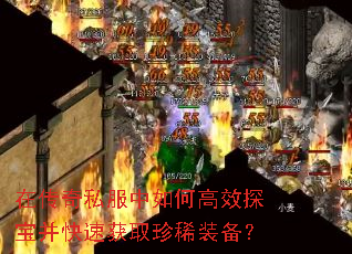 �ڴ���˽������θ�Ч̽�������ٻ�ȡ��ϡװ����
