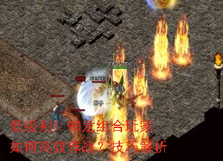 低级别1.95龙组合玩家如何高效作战?技巧解析 低级别1.95龙组合玩家如何高效作战?技巧解析