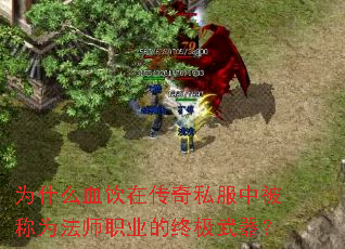 为什么血饮在传奇私服中被称为法师职业的终极武器? 为什么血饮在传奇私服中被称为法师职业的终极武器?