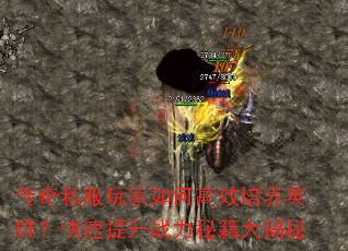 传奇私服玩家如何高效培养英雄?快速提升战力秘籍大揭秘 传奇私服玩家如何高效培养英雄?快速提升战力秘籍大揭秘