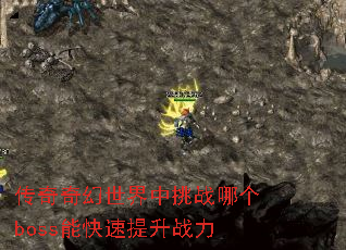 ���������������ս�ĸ�boss�ܿ�������ս��