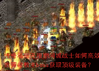 ����˽�������ڼ��սʿ��θ�Ч���ܻ�Ȫ����boss��ȡ����װ����