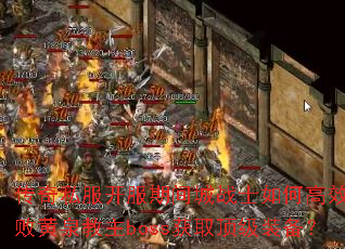 ����˽�������ڼ��սʿ��θ�Ч���ܻ�Ȫ����boss��ȡ����װ����