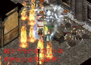 ���䴫��������������ο���ͻ�Ƶȼ�ƿ����