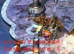 ���µ����ֳ�����������Щ����Ч������������������
