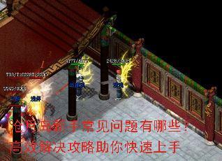 ���µ����ֳ�����������Щ����Ч������������������