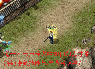 道士在无声传说中如何加点才能解锁隐藏技能与增强召唤兽? 道士在无声传说中如何加点才能解锁隐藏技能与增强召唤兽?