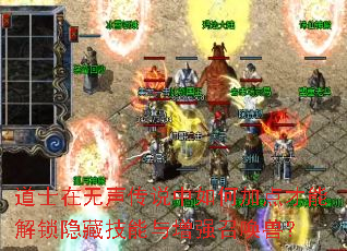道士在无声传说中如何加点才能解锁隐藏技能与增强召唤兽? 道士在无声传说中如何加点才能解锁隐藏技能与增强召唤兽?