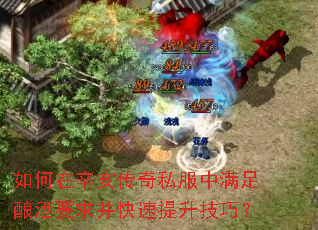 如何在辛亥传奇私服中满足酿酒要求并快速提升技巧? 如何在辛亥传奇私服中满足酿酒要求并快速提升技巧?