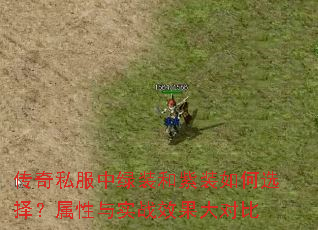 传奇私服中绿装和紫装如何选择?属性与实战效果大对比 传奇私服中绿装和紫装如何选择?属性与实战效果大对比