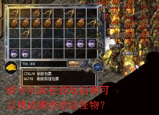 新手玩家在游戏初期可以挑战哪些低级怪物? 新手玩家在游戏初期可以挑战哪些低级怪物?