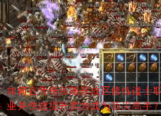����ڴ���˽��������������ʿְҵ����������ʵ����Ϊ������֣�