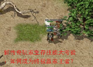 �´���������漼�ܴ��飺��γ�Ϊ�ռ�Ӯ�����ߣ�