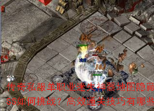 ����˽����ְҵ��ʧ������ͼ����BOSS�����ս����Чͨ�ؼ�������Щ��