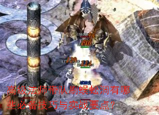 �߼���ʦ����ˢ��򼶴����Щ�ر�������ʵսҪ�㣿