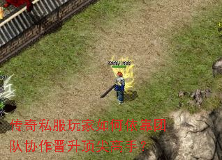 传奇私服玩家如何依靠团队协作晋升顶尖高手? 传奇私服玩家如何依靠团队协作晋升顶尖高手?