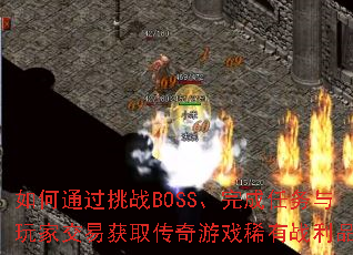 ���ͨ����սBOSS�������������ҽ��׻�ȡ������Ϸϡ��ս��Ʒ��