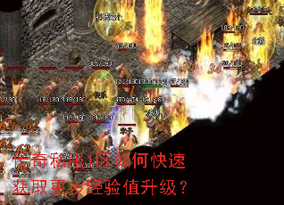 传奇私服1区如何快速获取更多经验值升级? 传奇私服1区如何快速获取更多经验值升级?