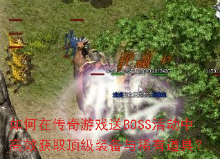 ����ڴ�����Ϸ��BOSS��и�Ч��ȡ����װ����ϡ�е��ߣ�