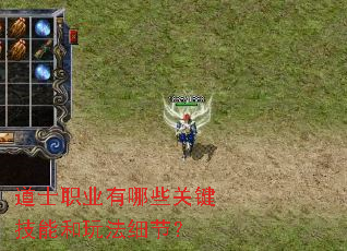 ��ʿְҵ����Щ�ؼ����ܺ��淨ϸ�ڣ�