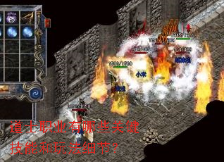 ��ʿְҵ����Щ�ؼ����ܺ��淨ϸ�ڣ�
