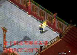 ��ʿְҵ����Щ�ؼ����ܺ��淨ϸ�ڣ�