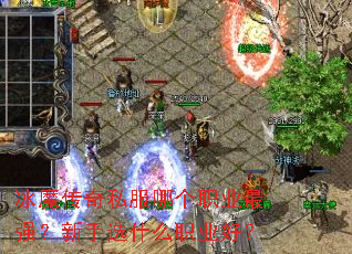 ��ħ����˽���ĸ�ְҵ��ǿ������ѡʲôְҵ�ã�