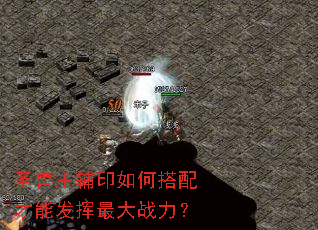 圣兽主辅印如何搭配才能发挥最大战力? 圣兽主辅印如何搭配才能发挥最大战力?