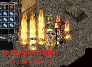 圣兽主辅印如何搭配才能发挥最大战力? 圣兽主辅印如何搭配才能发挥最大战力?