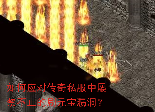 ���Ӧ�Դ���˽�����Ž���ֹ��ˢԪ��©����