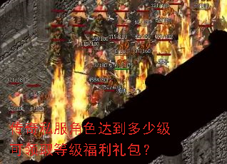 ����˽����ɫ�ﵽ���ټ�����ȡ�ȼ����������