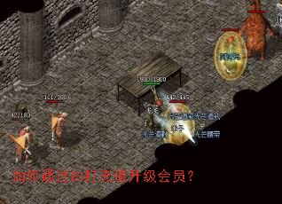 如何通过白打充值升级会员? 如何通过白打充值升级会员?