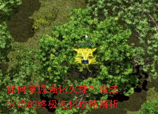�������ǿ������ħ��������ռ��������Խ���