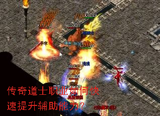 �����ʿְҵ��ο�����������������