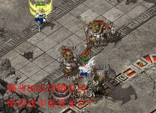 ��ЩBOSS�����ڴ�����Ϸ�б��ܹ�ע��