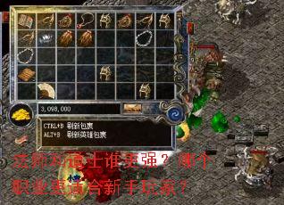 ��ʦ�͵�ʿ˭��ǿ���ĸ�ְҵ���ʺ�������ң�
