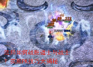 ��ʦ���սʤ��ʿ��սʿ��ʵ��PK���ɴ����