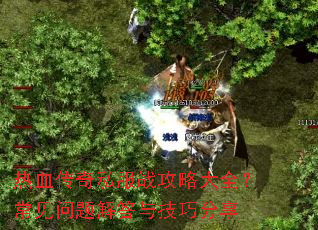 ��Ѫ����˽��ս���Դ�ȫ�������������뼼�ɷ���