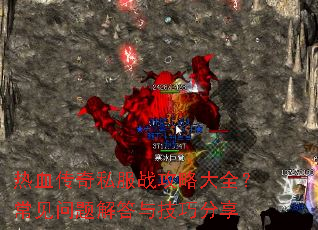 ��Ѫ����˽��ս���Դ�ȫ�������������뼼�ɷ���