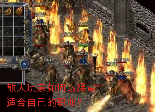 ɢ��������ѡ�����ʺ��Լ���ְҵ��