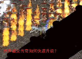 �¿����䴫����ο���������