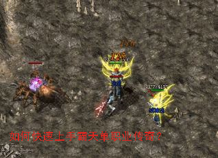 ��ο������ְ��쵥ְҵ���棿