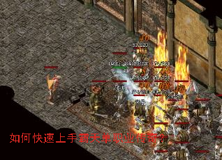 ��ο������ְ��쵥ְҵ���棿