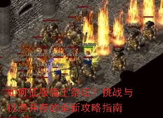 �������ħ����̳����ս����������ȫ�¹���ָ��