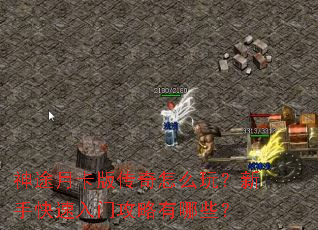 ��;�¿��洫����ô�棿���ֿ������Ź�������Щ��