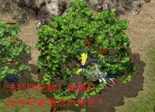 ��ʦPK�޵У���δ��촫����ǿ��ʦ��ɫ��