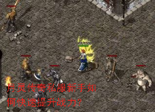 ���鴫��˽��������ο�������ս����