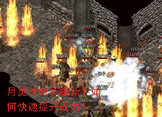 ���鴫��˽��������ο�������ս����