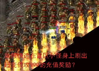 ��ο���������С������ˢ�����䱶��999�ĳ�ֵ������